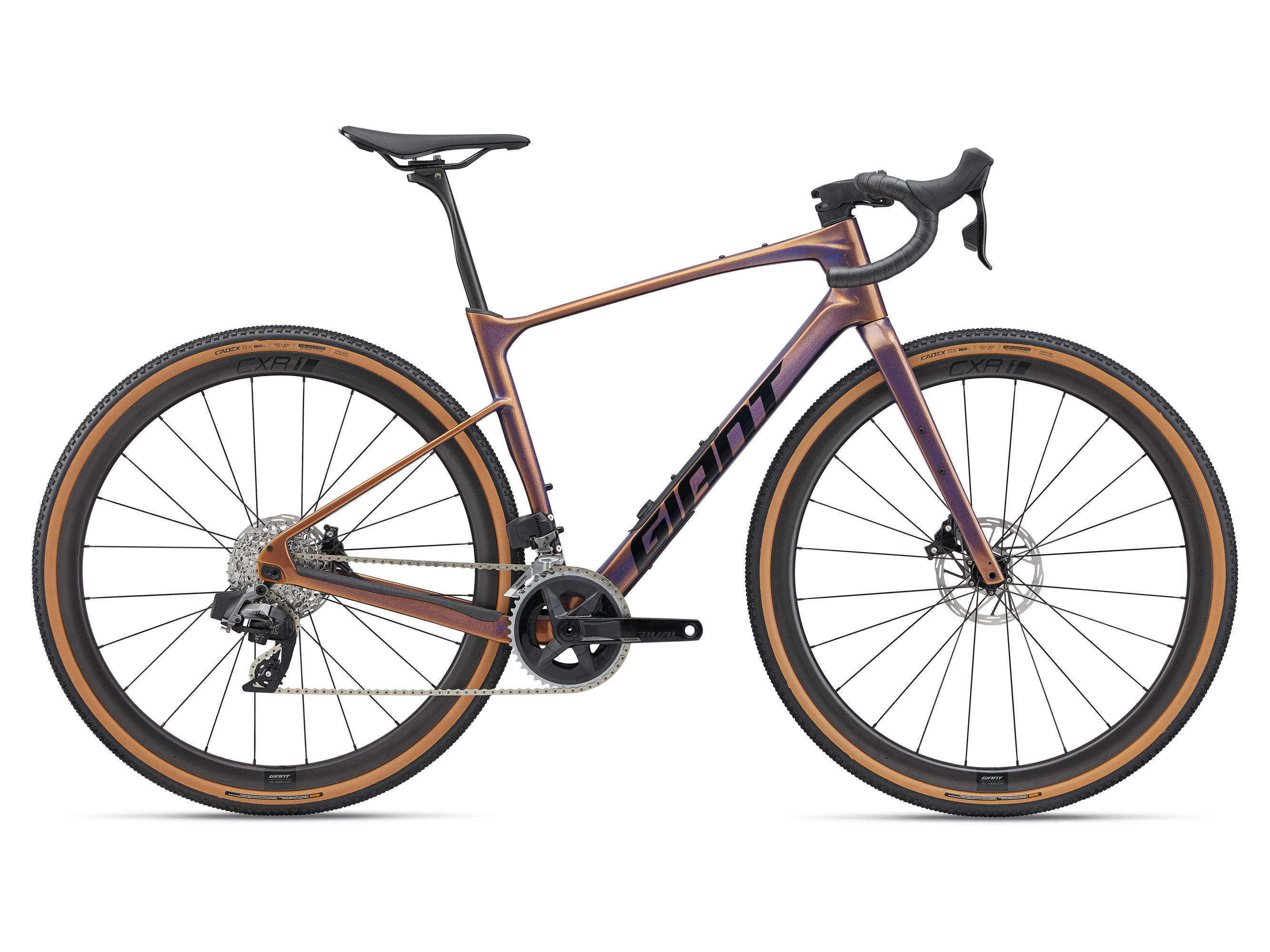 Revolt Advanced Pro 1 Image