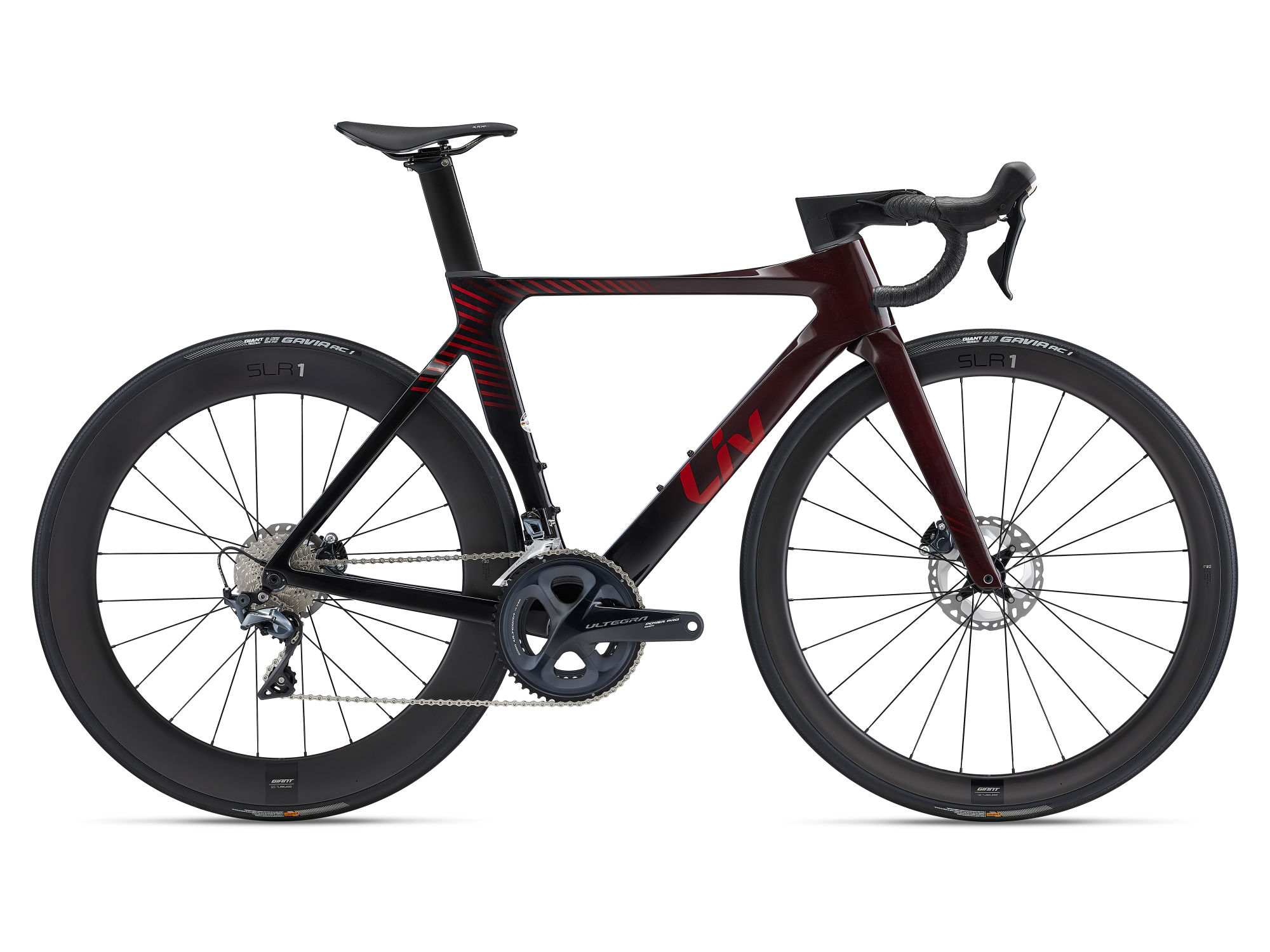 Enviliv Advanced Pro 1 Disc Image