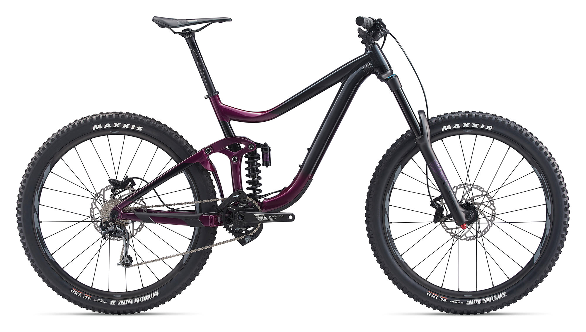 Reign SX Image